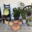 승전방앗간