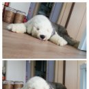 안녕하세요 이미지