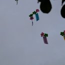 마산합포구청 이미지