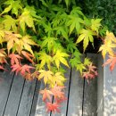 오미회관 이미지