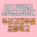 부산교대부설초교 이미지