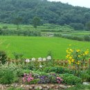 봄여름가을이야기 이미지