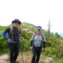 영각사주차장 이미지