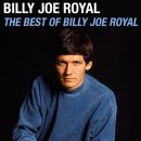Rose Garden (Billy Joe Royal) 이미지