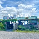 과수원칼국수 이미지