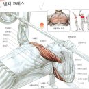 운동을 막 시작하시는 분들을 위한 운동과 팁 이미지