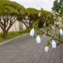 외고산옹기마을 이미지