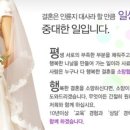 청혼연정결혼정보 이미지