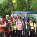 장병익 | [스크랩] 청계산 산행 후기 -’ 07.5.26(토) 맑음(황사현상)