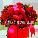 추곡초등학교 이미지