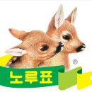 노루 이미지