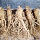 인삼농협판매장 이미지