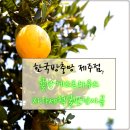 귤낭게스트하우스