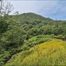 동화공원
