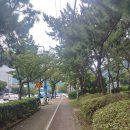 오성웅내과의원 | 진해 치과, 석동에 있는 참조은 치과에서 사랑니 발치했어요