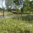 저스트스위트호텔 다산로데오점 이미지