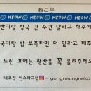 네코정