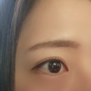 영통 망포 속눈썹펌 퓨어브로우 추천 후기