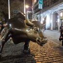 황소밧데리 | 뉴욕 여행 인증샷 명소 월스트리트 황소와 겁없는 소녀상 그리고 타임스퀘어