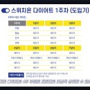 스위치온 티스토리