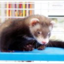 구서동물병원 이미지