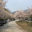 추월산로 이미지