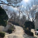 인재개발원 테니스장 | [테니스일기] 서울인재개발원 테니스장 (스매시 혼복)