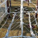 리더스숲유치원 이미지