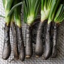 써전트 | 바르셀로나/5일차) 바르셀로나에서의 크리스마스 이브, 칼솟과 벙커 야경