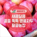 활골농장