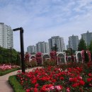 고인돌공원 Daum카페