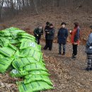 김경희농장 이미지