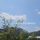 하빈한우 네이버블로그
