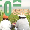 주읍리산수유꽃마을 이미지