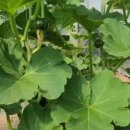 양수농장2 이미지