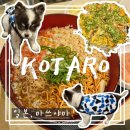 한국아사히프리텍(주) | 일본 소도시 마쓰야마 오코노미야키, 몬자야끼 맛집 코타로 예약방법 솔직후기