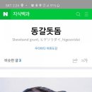 남쪽바다민박 이미지