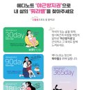 에디노트 이미지