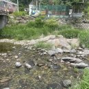 가평가평1087 이미지