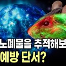 뇌 속 쓰레기는 어디로 사라질까? 🧠 | 치매 연구의 새로운 단서가 된 '뇌의 배수로' 이미지