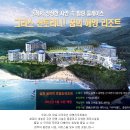 대명호텔 이미지