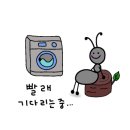 워시엔조이셀프빨래방도봉 - 도봉구 도봉로145길 55 | 워시엔조이셀프빨래방도봉