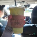 속솜 제주 구좌 카페 하도해수욕장 근처 플랜테리어가 돋보이는 <b>속솜</b>(SOKSOM)