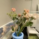 문조약국 이미지