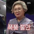 워터독 이미지