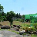 강정동-3 이미지