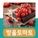 동덕여자대학교 비만미용향장대학원 | 방울토마토 효능, 영양성분 칼로리 (씻는법)