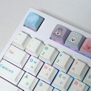 포스팅이 아니라 구매영수증 / 26년 5월 일상