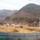 보성축산 - 동대문구 고산자로 454 | 보성축산