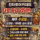 타로 실전리딩반 이미지